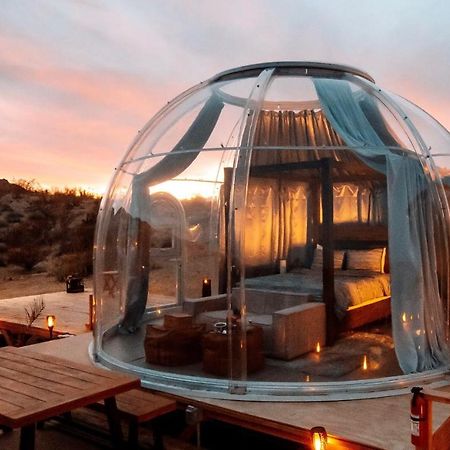 Jthavn-Joshua Tree Remote Dessert Bubble Dome ภายนอก รูปภาพ